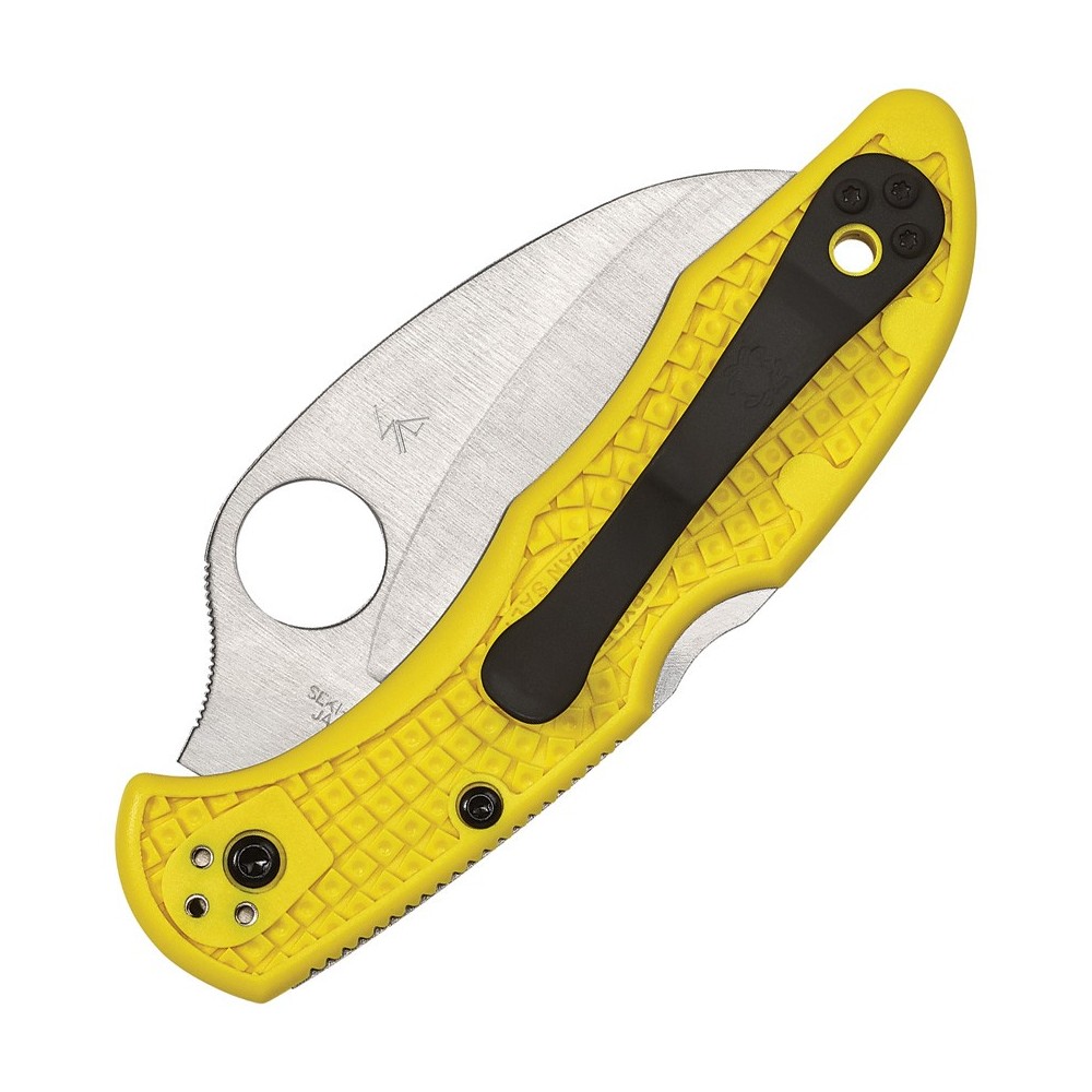Spyderco Tasman Salt 2 Lockback
