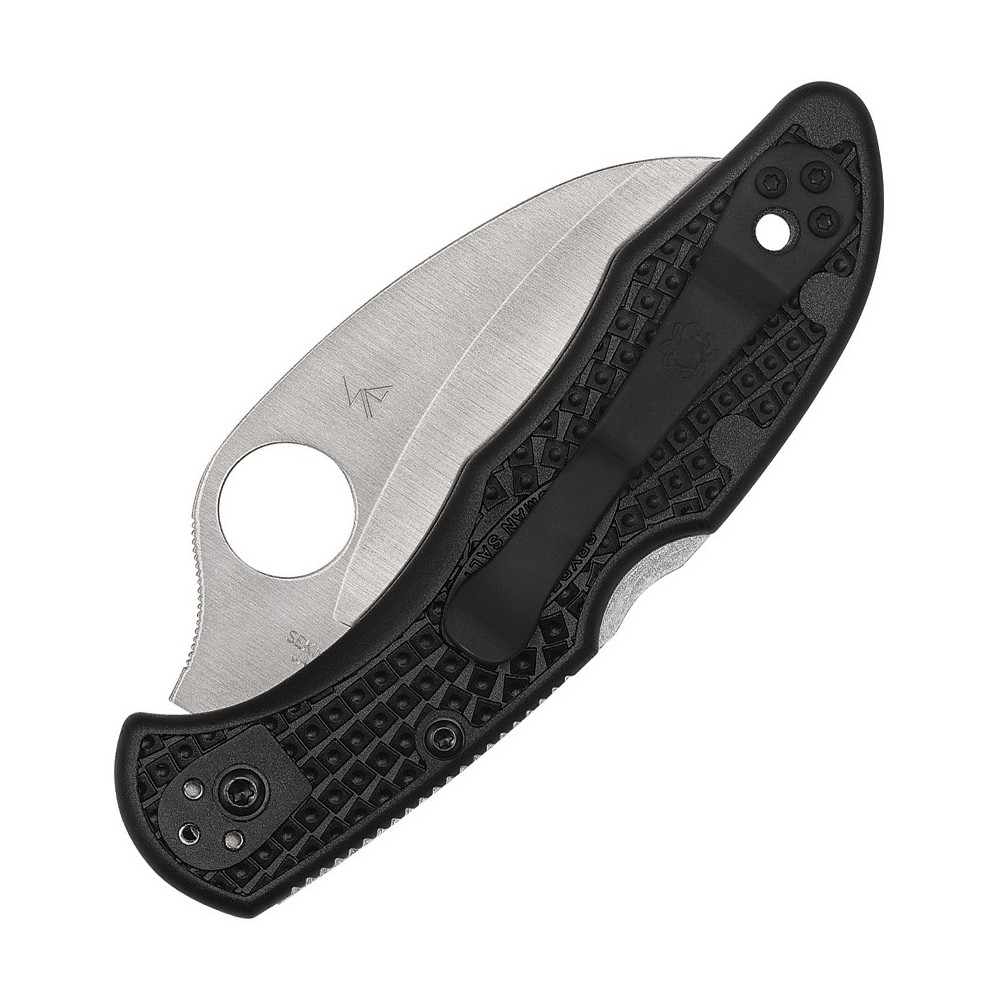 Spyderco Tasman Salt 2 Lockback