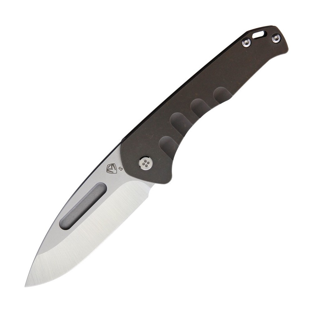 Medford Praetorian Slim Framelock