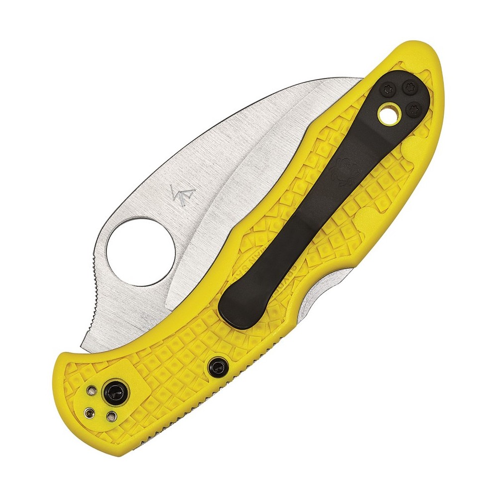 Spyderco Tasman Salt 2 Lockback