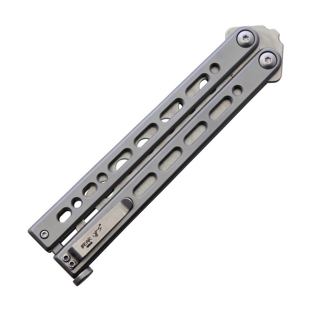 Bear Ops BearSong VIII Trainer