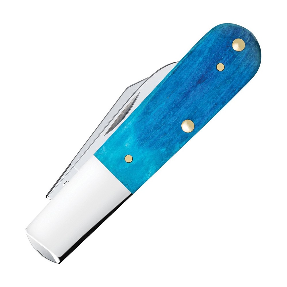Case Barlow Caribbean Blue