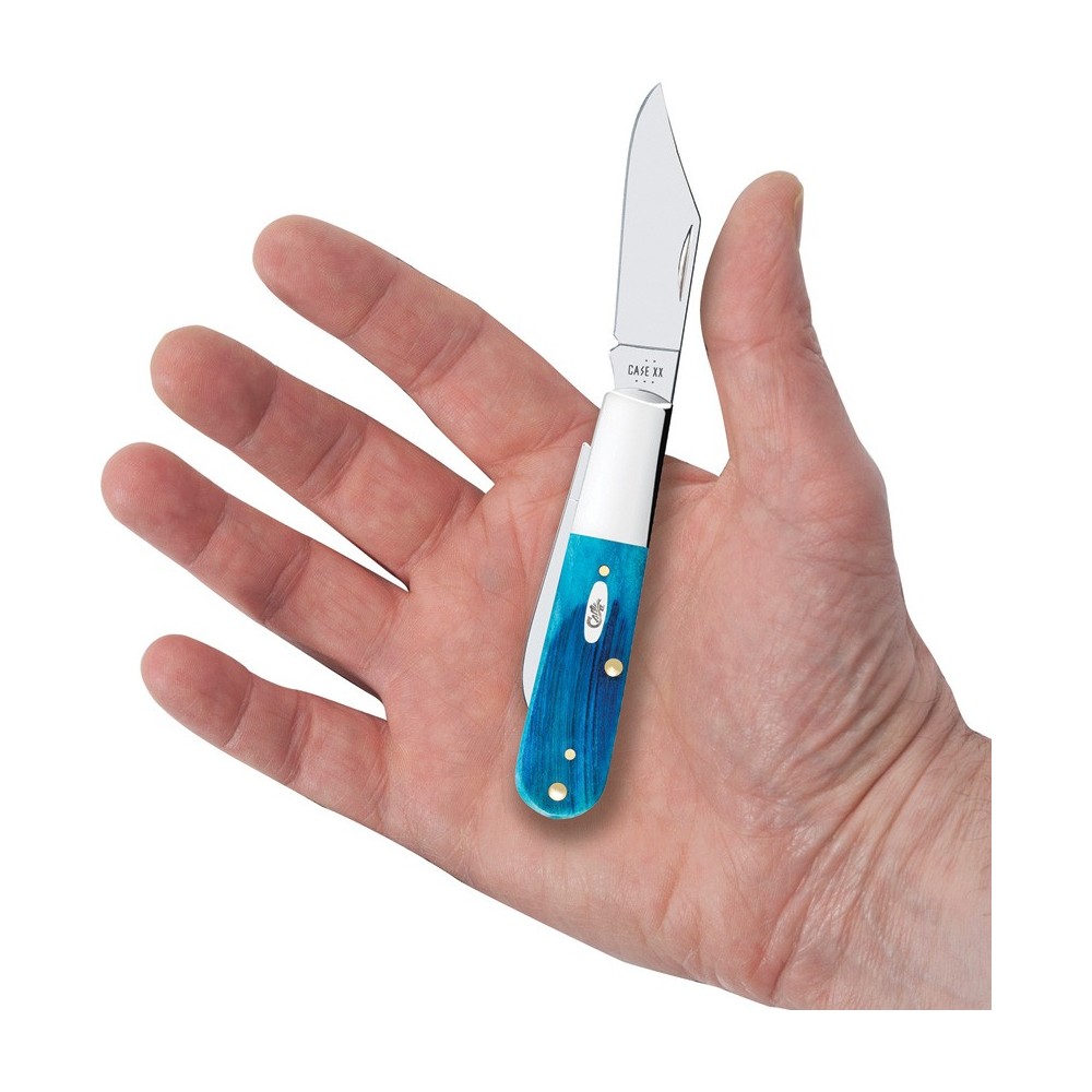 Case Barlow Caribbean Blue