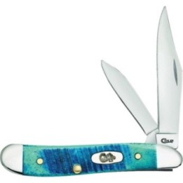 Case Peanut Caribbean Blue