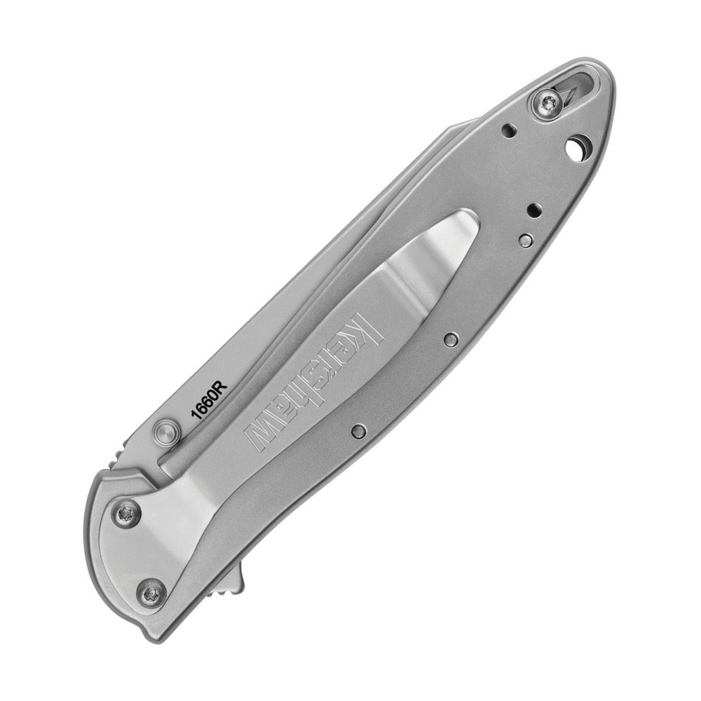 Kershaw Random Leek Framelock A/O