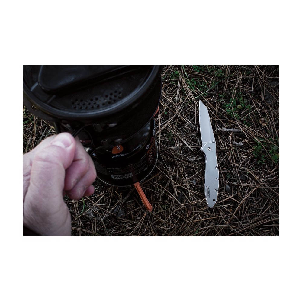 Kershaw Random Leek Framelock A/O