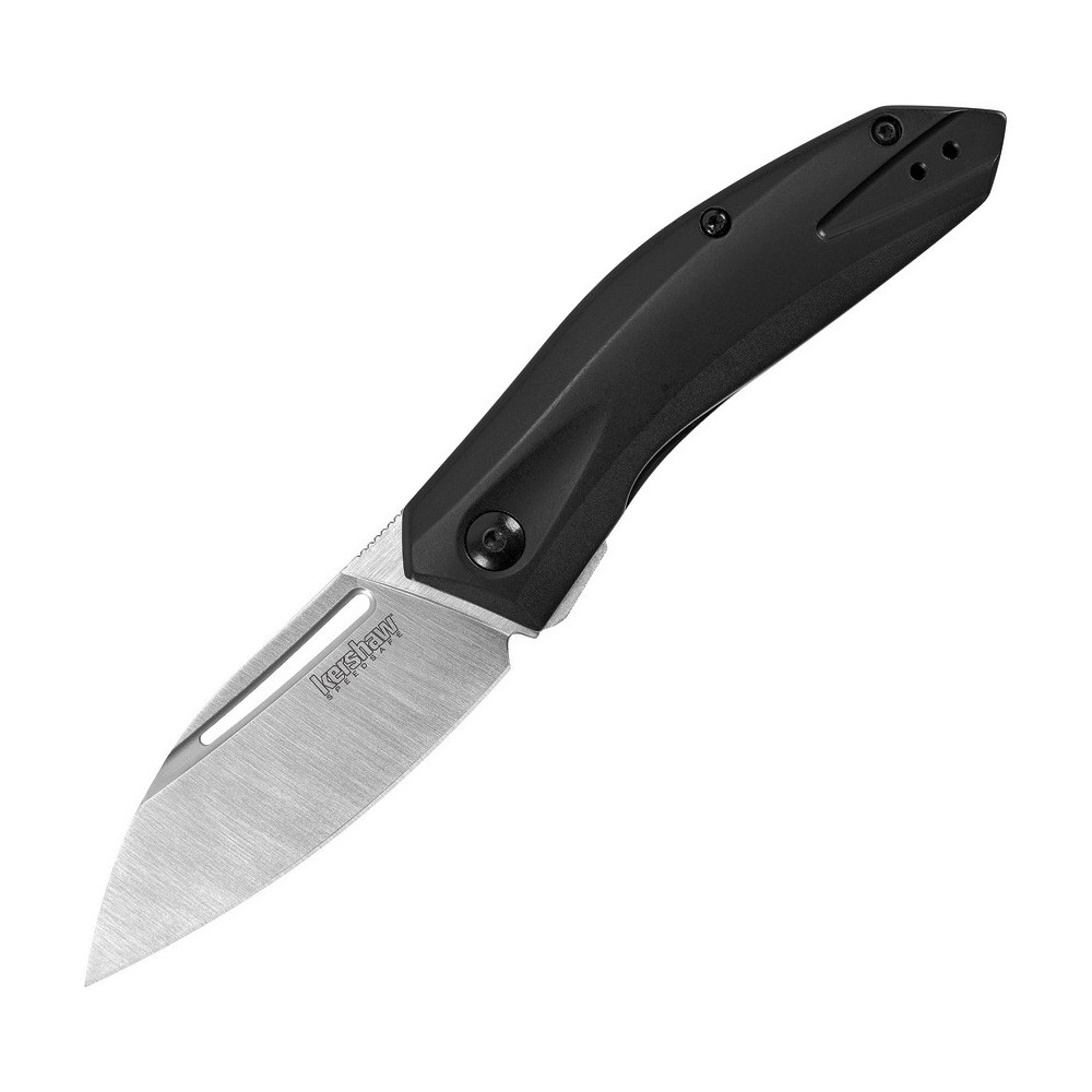 Kershaw Turismo Framelock