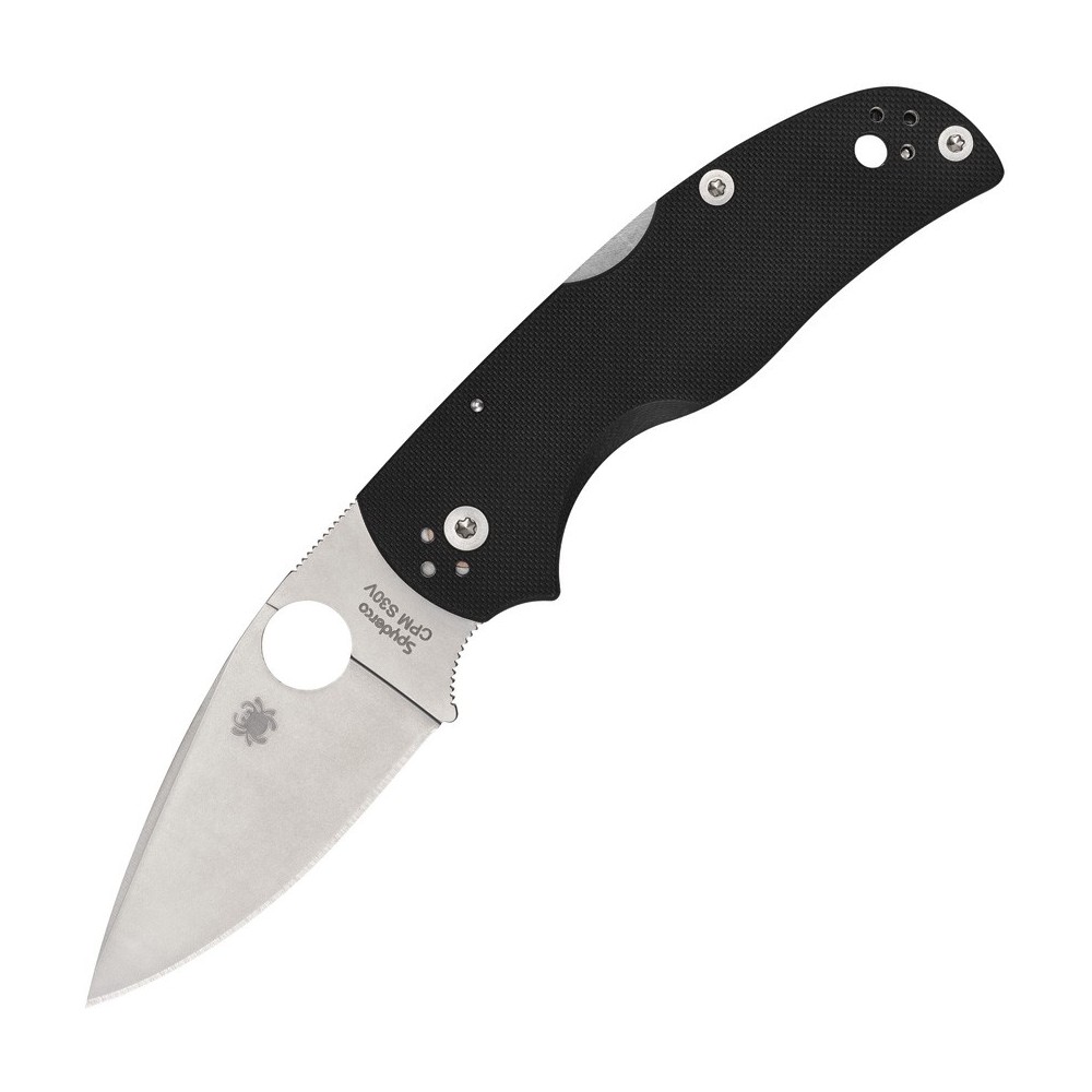 Spyderco Native Lockback Black