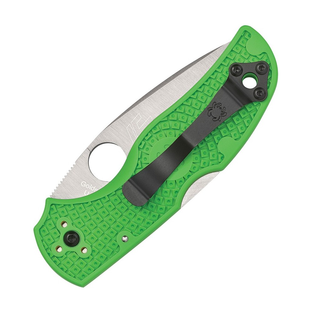 Spyderco Native 5 Salt Lockback Green