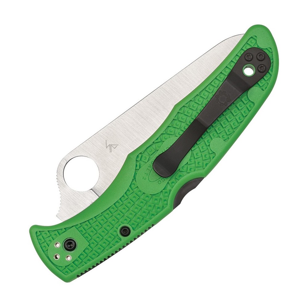 Spyderco Pacific Salt 2 Lockback Green