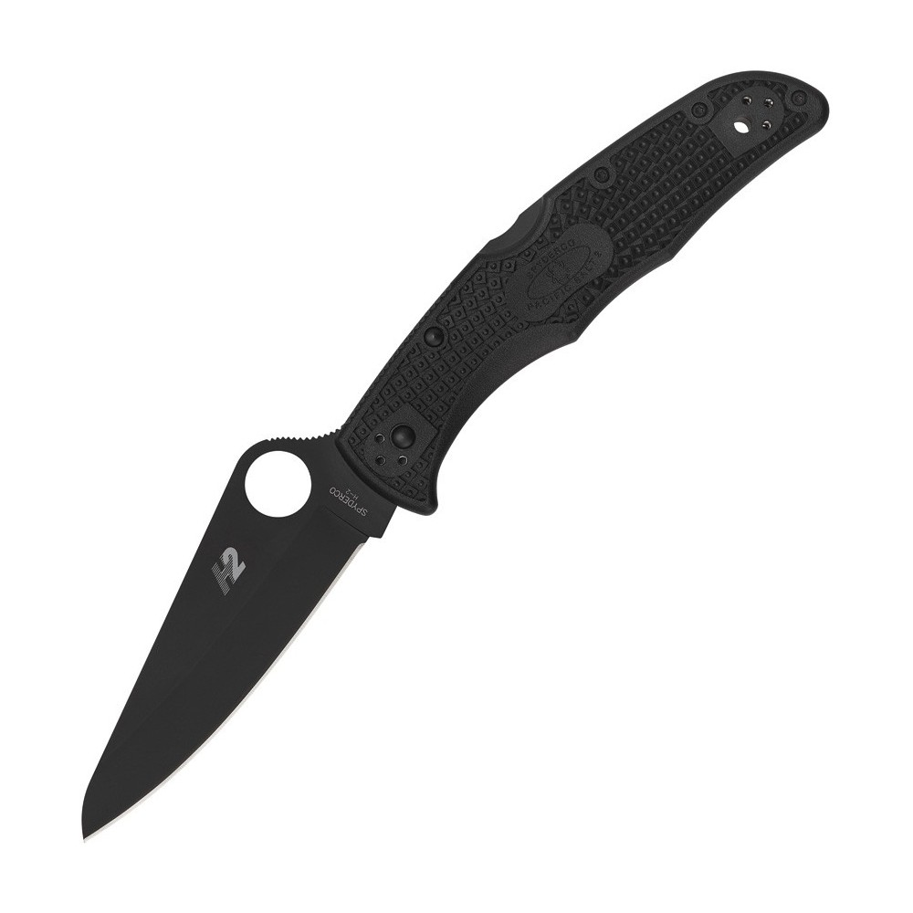 Spyderco Pacific Salt 2 Lockback Black