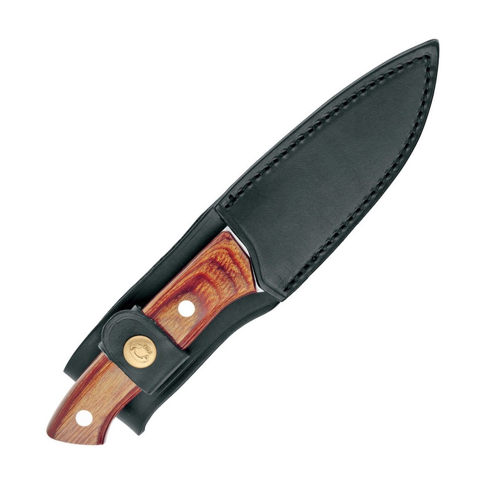 FOX Campeggio Fixed Blade