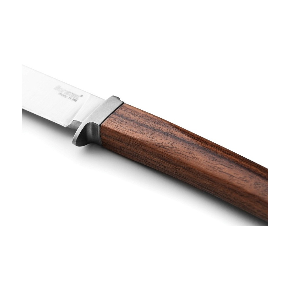 LionSTEEL AGO Fixed Blade Santos