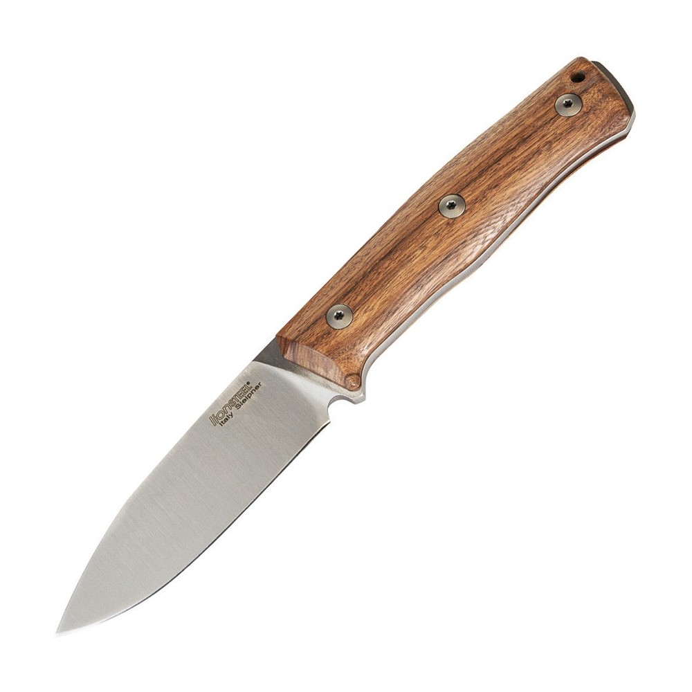 LionSTEEL B35 Fixed Blade Santos