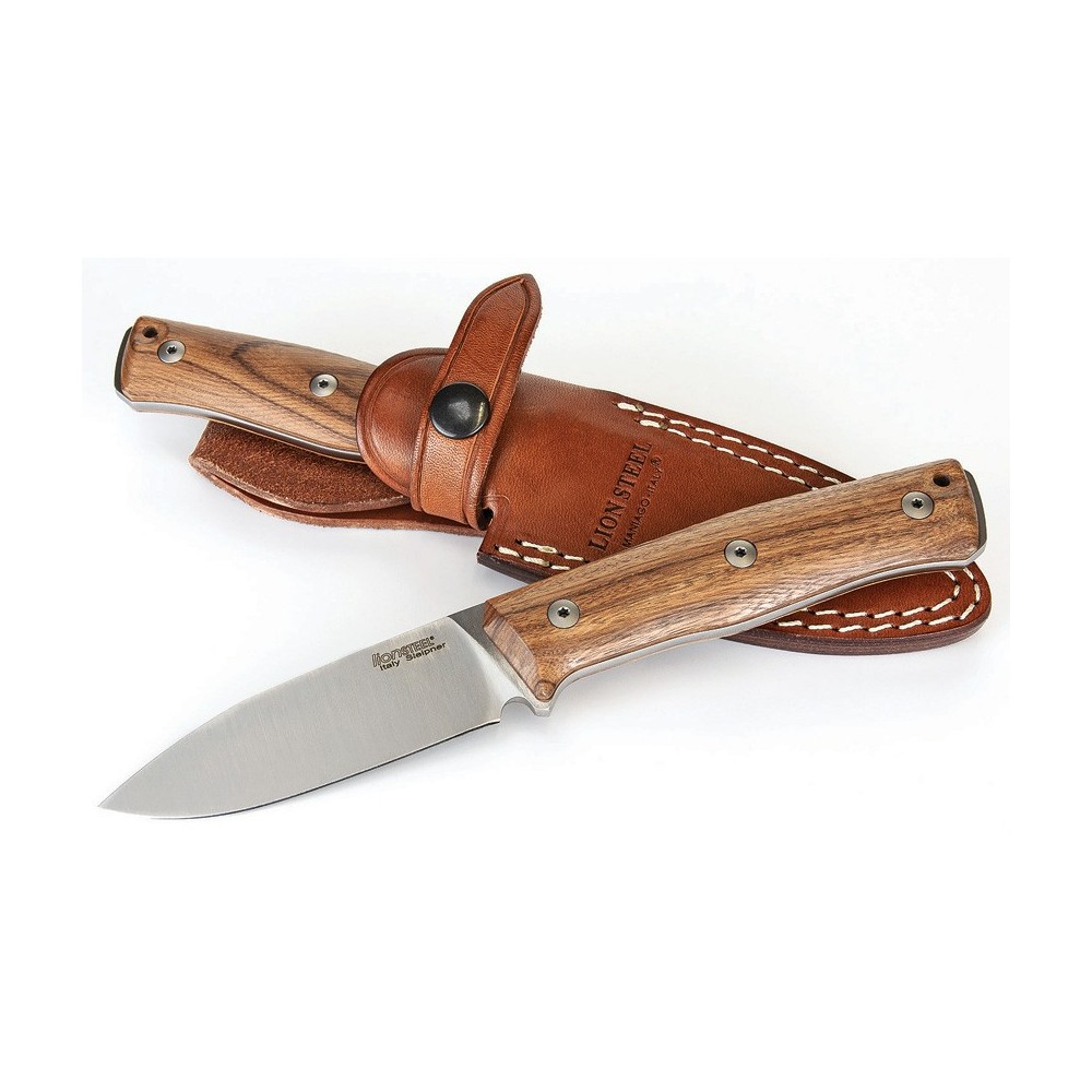 LionSTEEL B35 Fixed Blade Santos