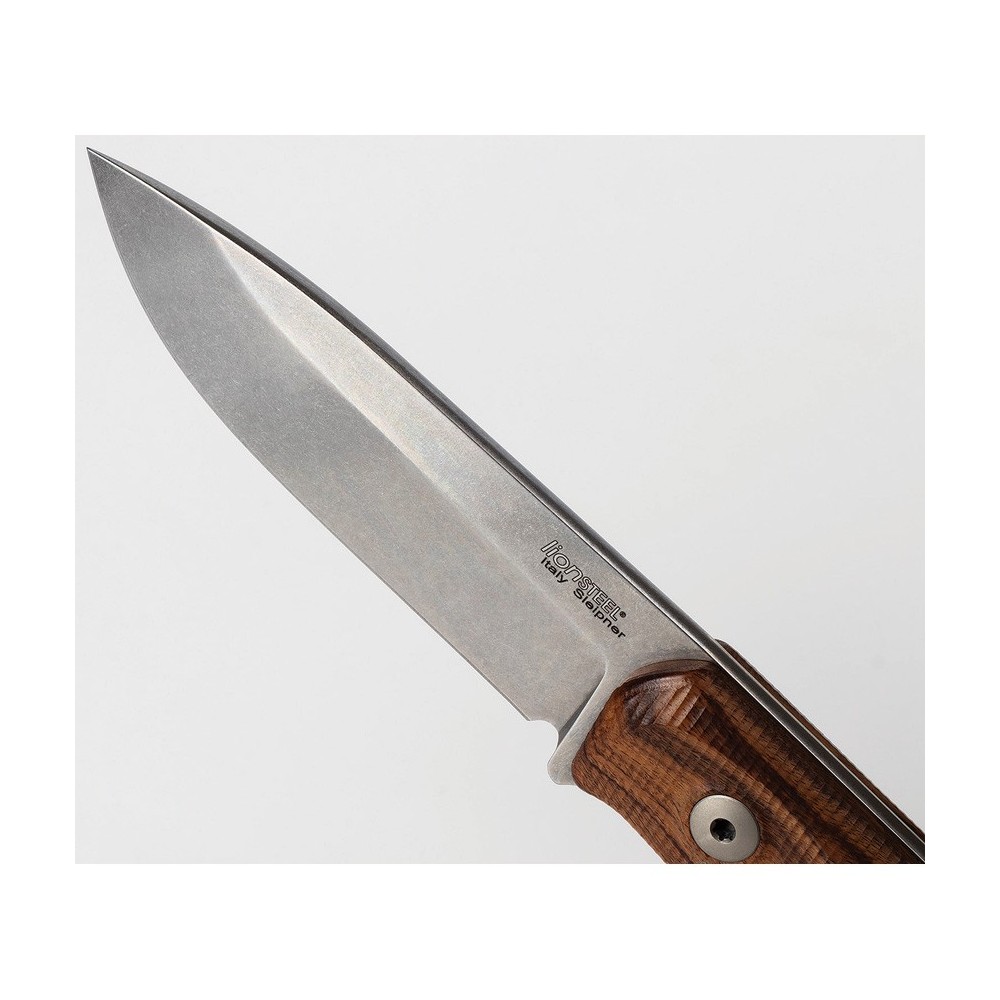 LionSTEEL B41 Bushcraft Santos Wood