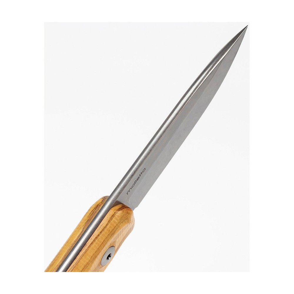 LionSTEEL B41 Bushcraft Olive Wood