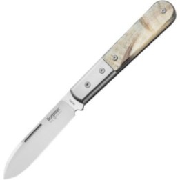 LionSTEEL Barlow Roundhead Ram