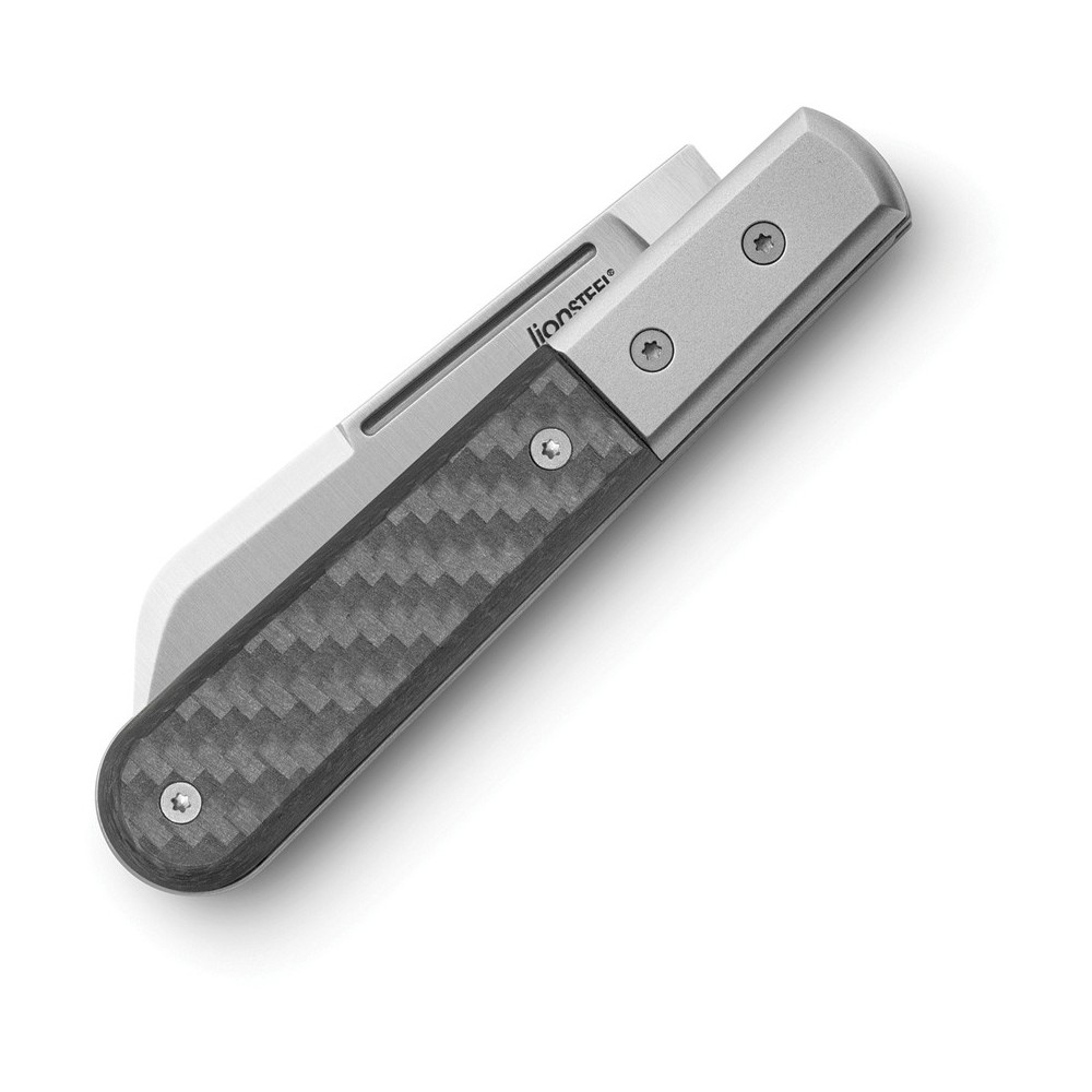 LionSTEEL Barlow Dom Carbon Fiber