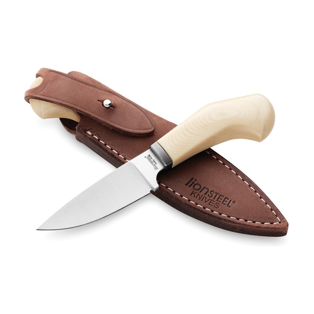 LionSTEEL Willy Fixed Blade Ivory