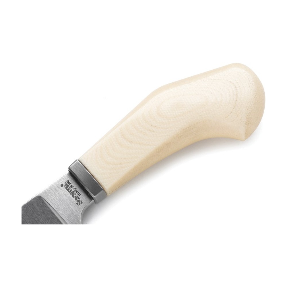 LionSTEEL Willy Fixed Blade Ivory